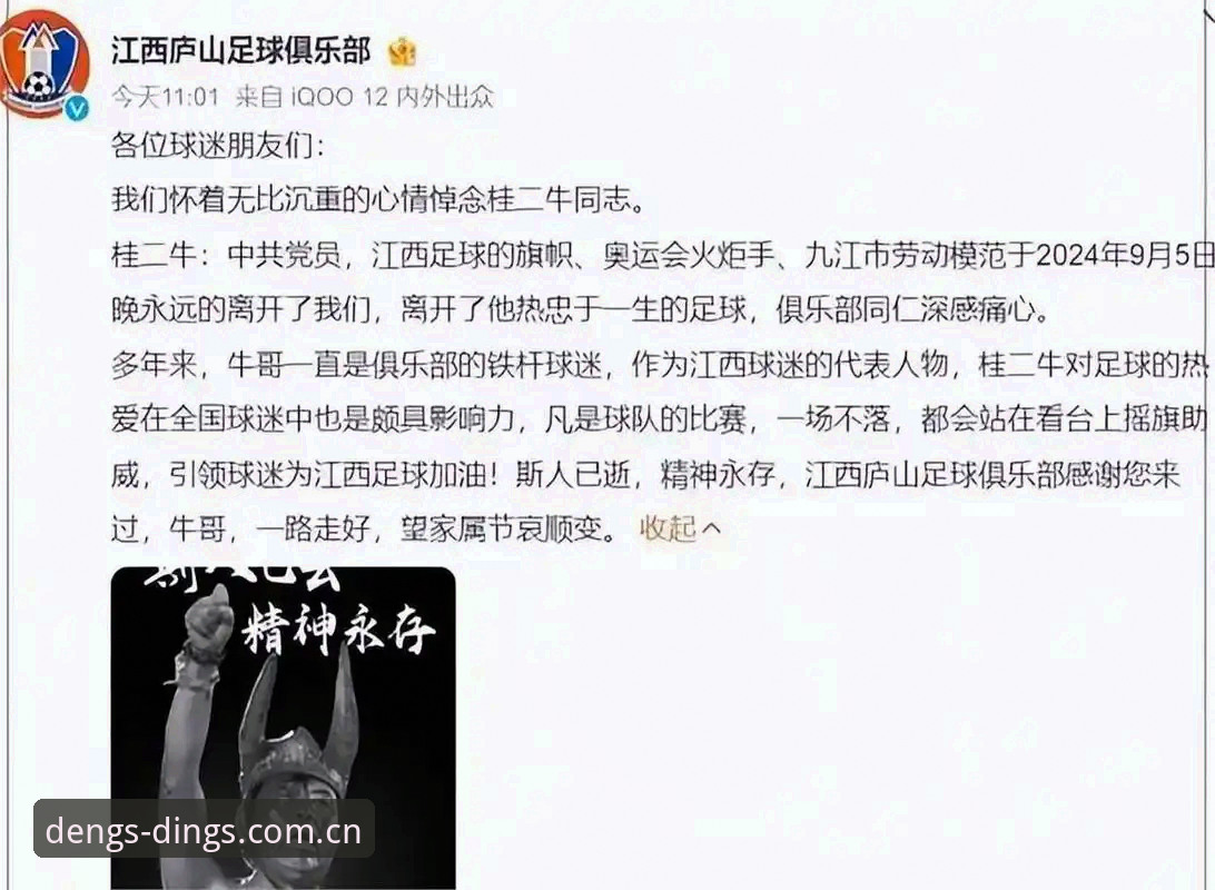 资深球迷分享：从鼎盛官网登录入口跟进世界杯签证风波的那些实战心得